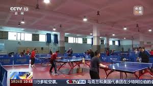 2026年世界杯官网 便宜的室外乒乓球台